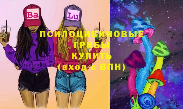 дурь Алзамай