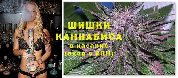 дурь Алзамай