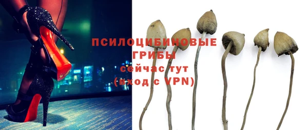 шишки Абдулино