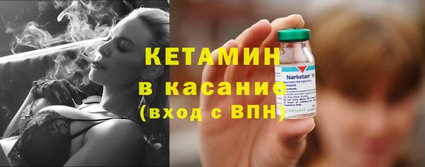 шишки Абаза