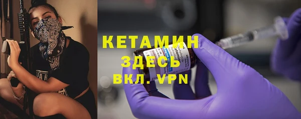 шишки Абаза