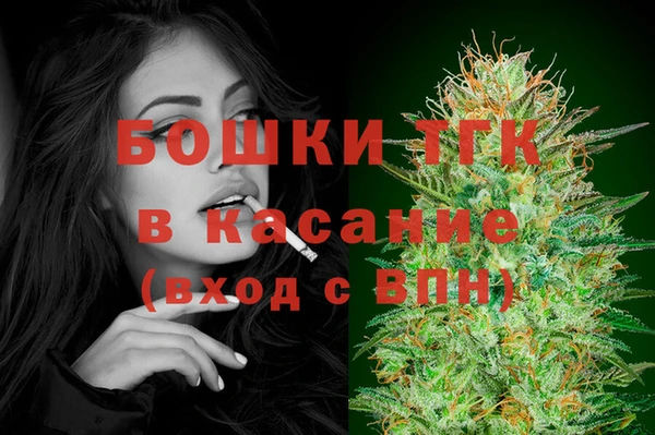 ГАЛЛЮЦИНОГЕННЫЕ ГРИБЫ Алексин