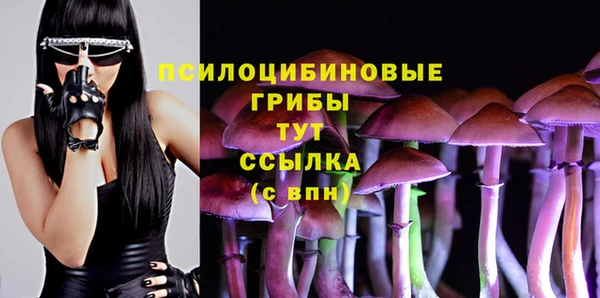 шишки Абаза