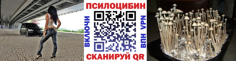 где можно купить Ряжск Псилоцибиновые грибы Magic Shrooms